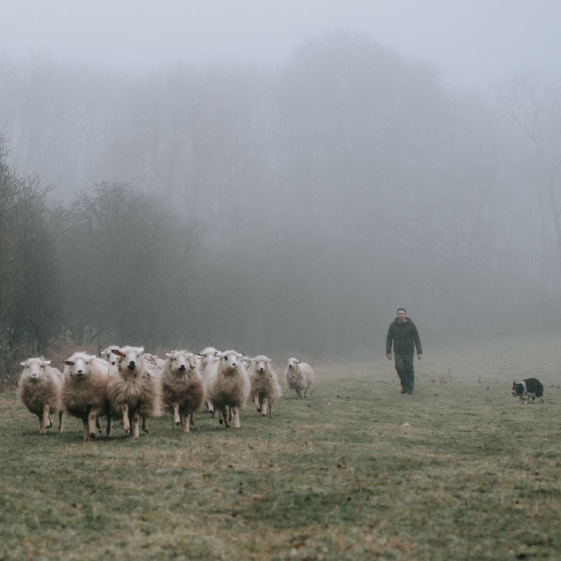 BLACKLION Vodka (200ml)